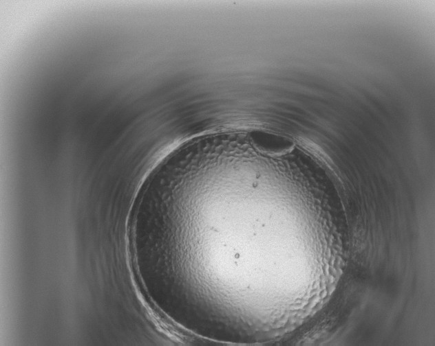 X0000059811047200510281700