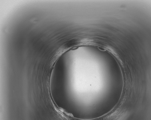 X0000059811049200510281700