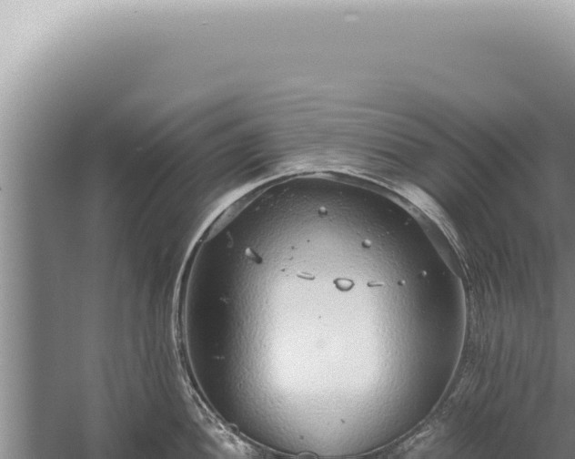 X0000059811052200510281700