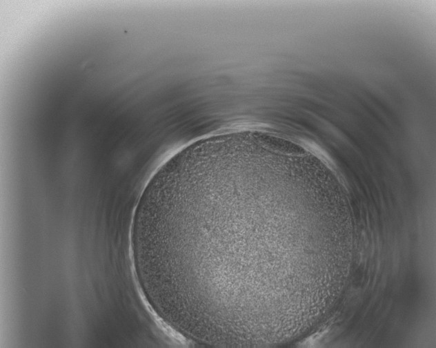 X0000059811055200510281700