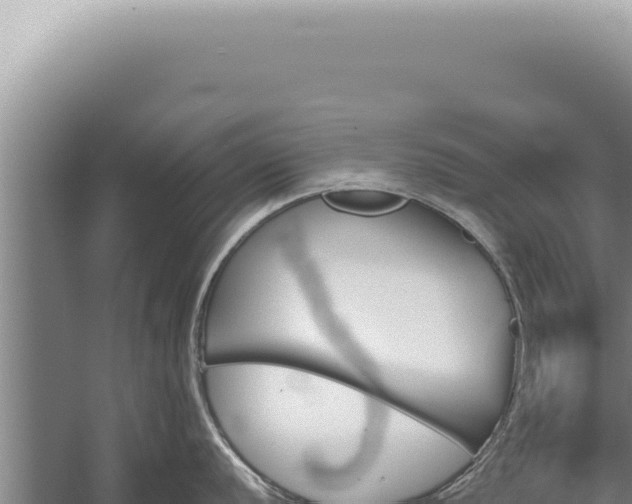 X0000059811056200510281700