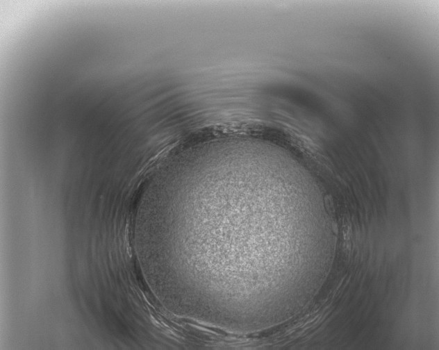 X0000059811060200510281659