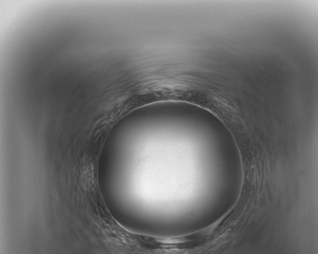 X0000059811061200510281659