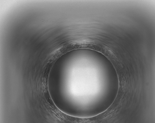 X0000059811062200510281659