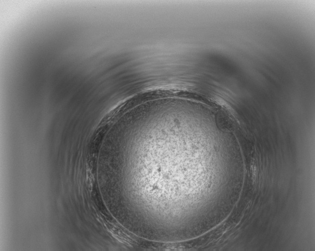 X0000059811064200510281659