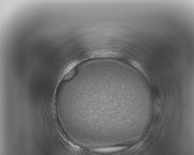 X0000059811071200510281659