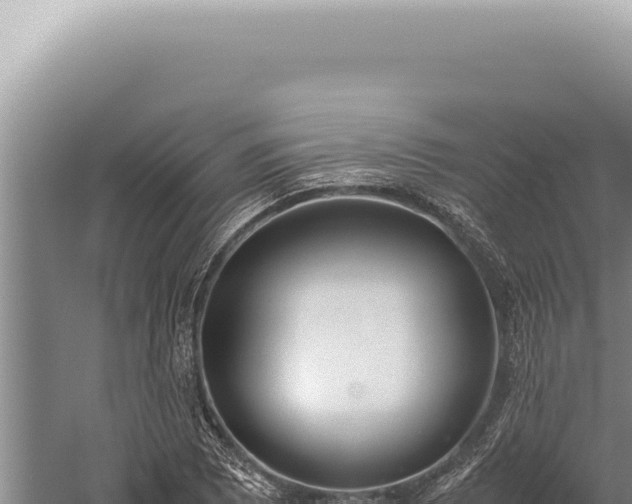 X0000059811073200510281659