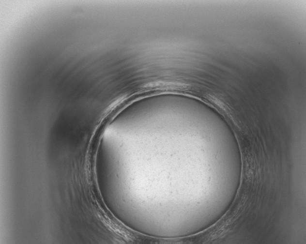 X0000059811074200510281659