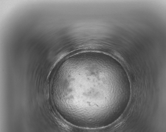 X0000059811075200510281659