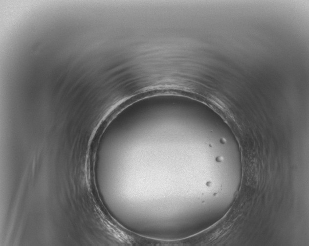 X0000059811076200510281659