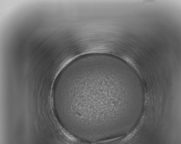 X0000059811077200510281659