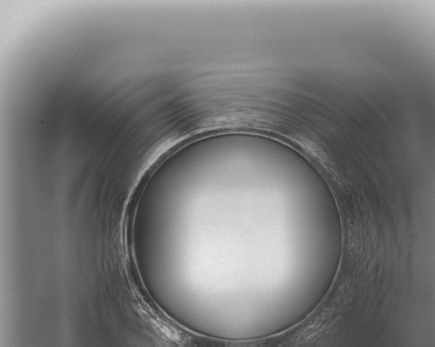 X0000059811078200510281659