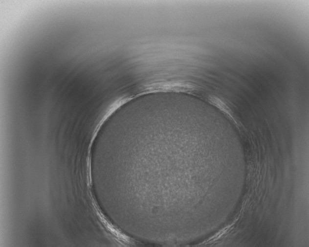 X0000059811079200510281659