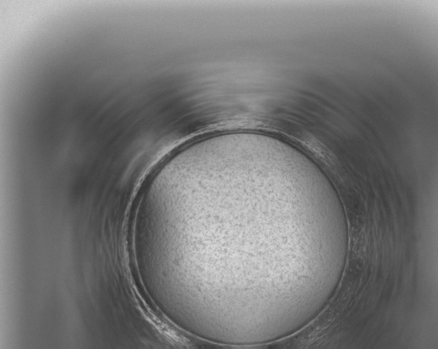 X0000059811086200510281659