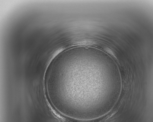 X0000059811087200510281659