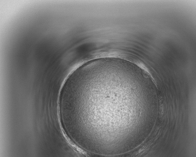 X0000059811088200510281659