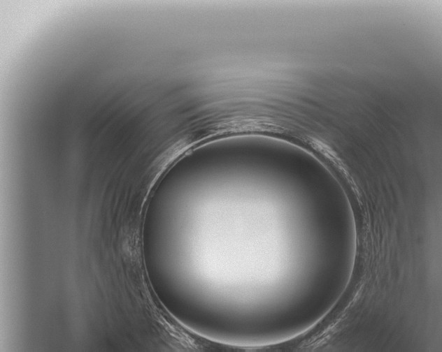 X0000059811089200510281659