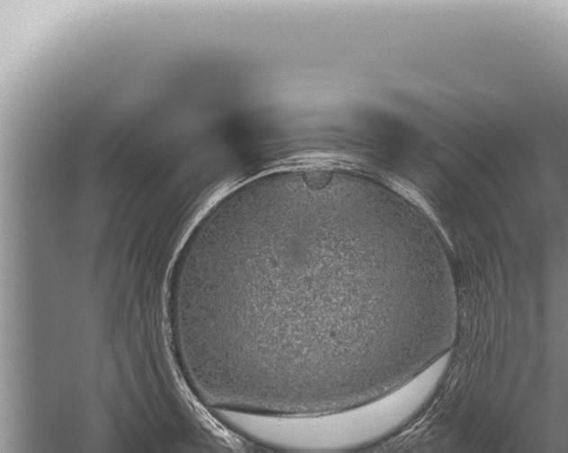 X0000059811091200510281659