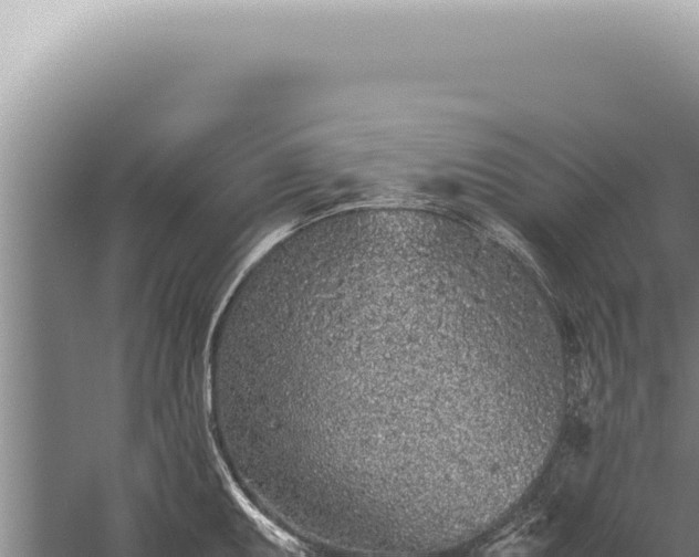 X0000059811095200510281659