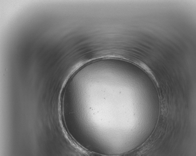 X0000059811096200510281659