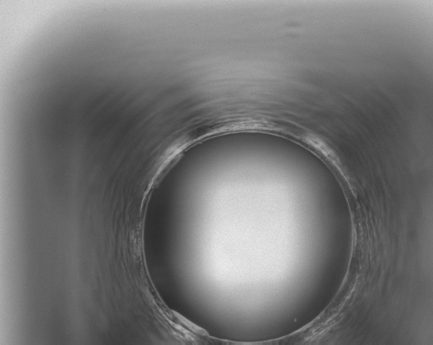 X0000059811097200510281659