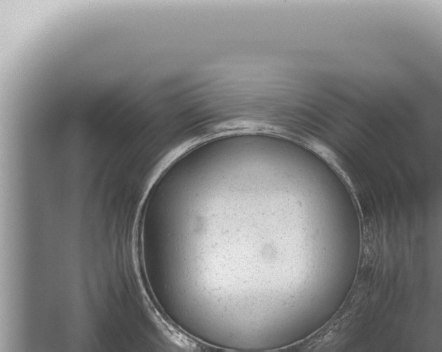 X0000059811098200510281659