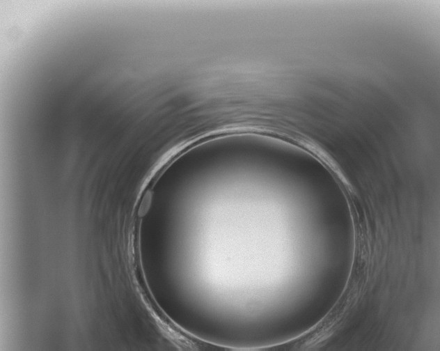 X0000059811101200510281659