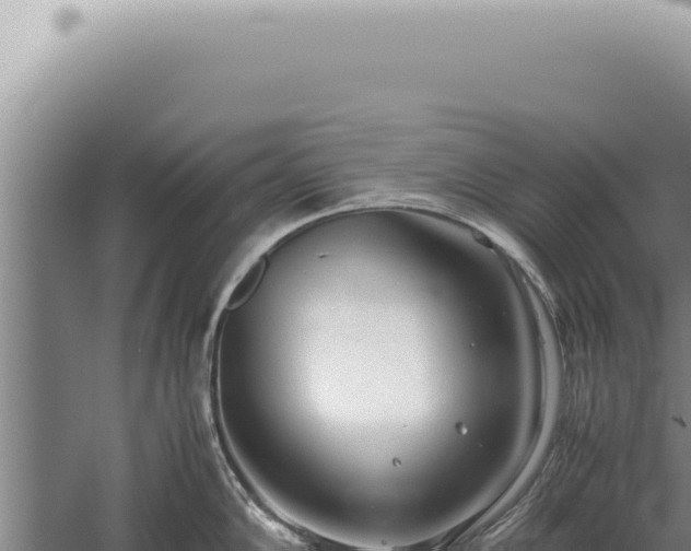 X0000059811102200510281659