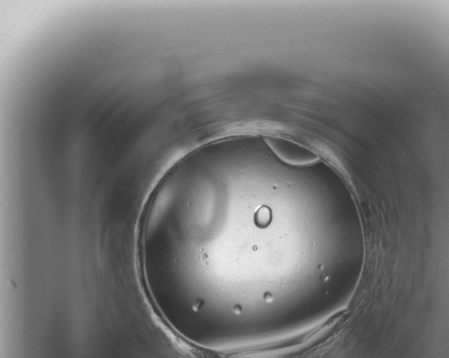 X0000059811103200510281659