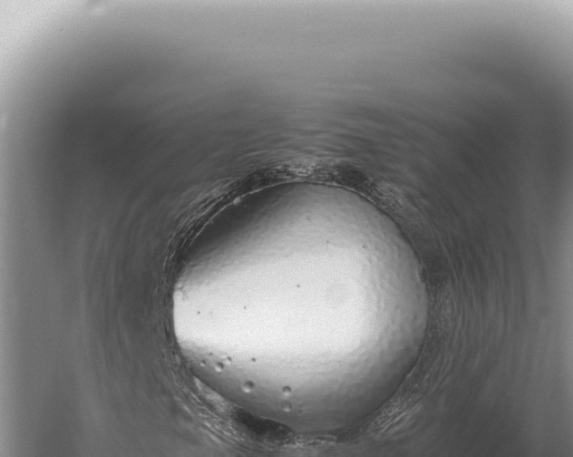 X0000059811105200510281658