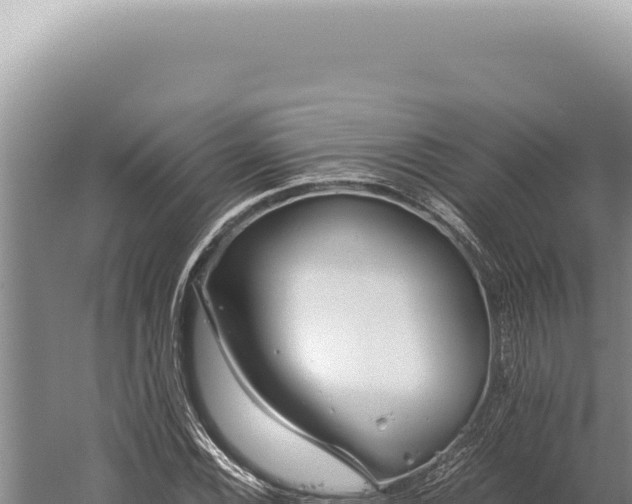 X0000059811116200510281658