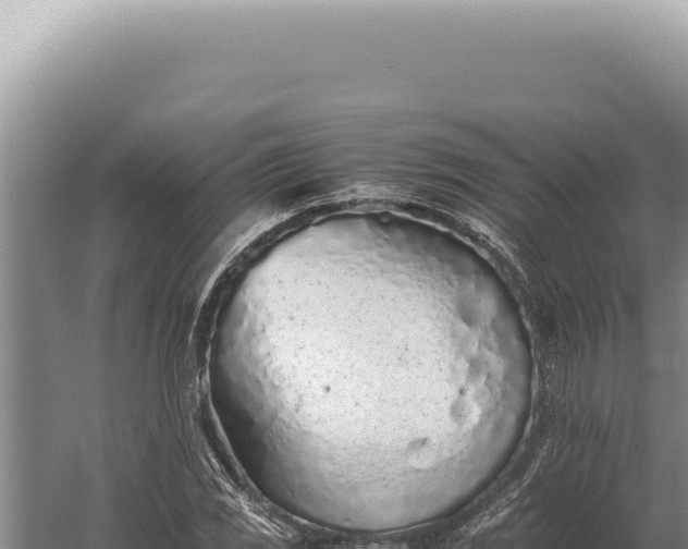 X0000059811117200510281658