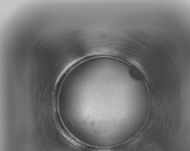 X0000059811120200510281658