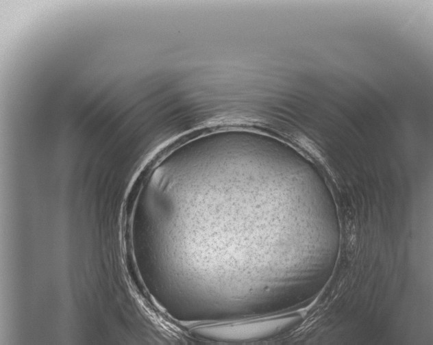 X0000059811124200510281658