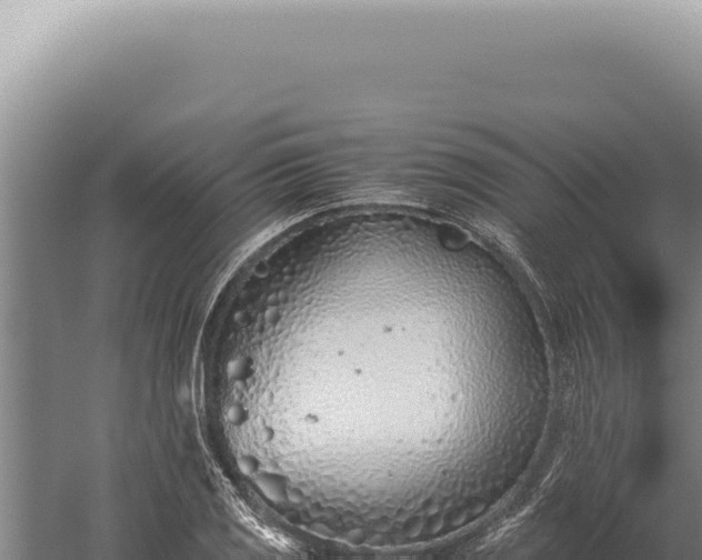 X0000059811125200510281658