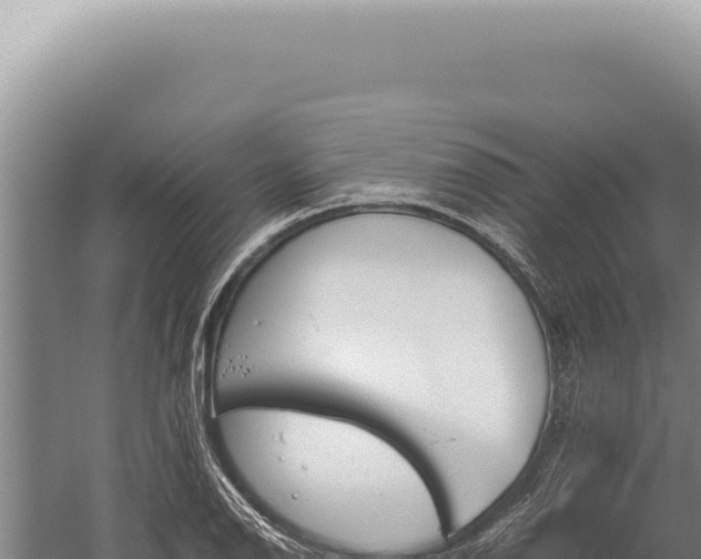 X0000059811126200510281658