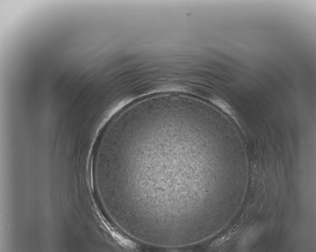 X0000059811127200510281658