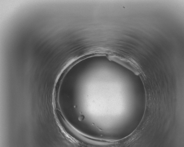 X0000059811128200510281658