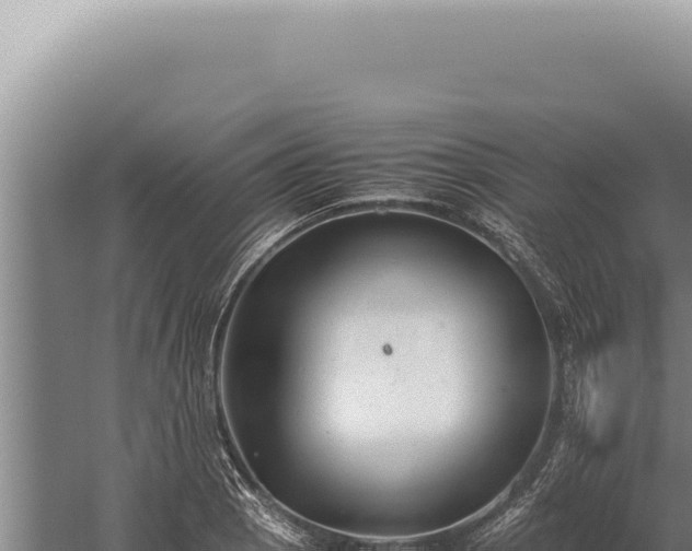 X0000059811129200510281658