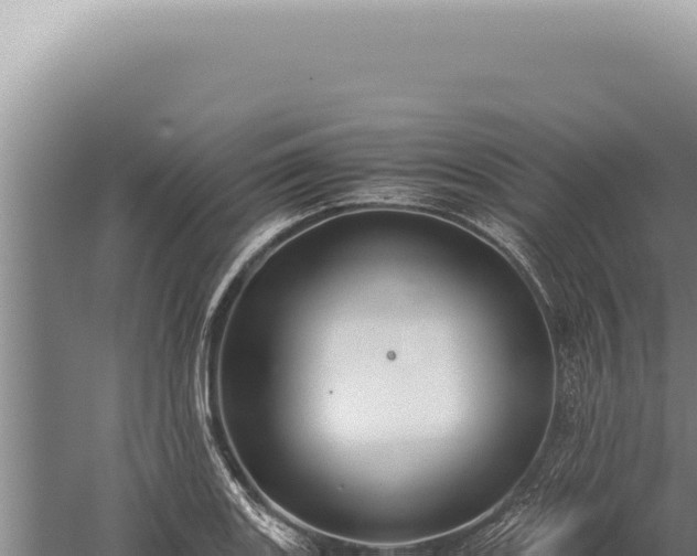 X0000059811131200510281658