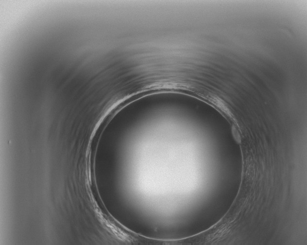 X0000059811132200510281658