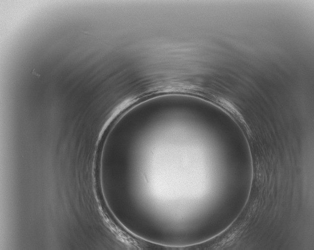 X0000059811138200510281658