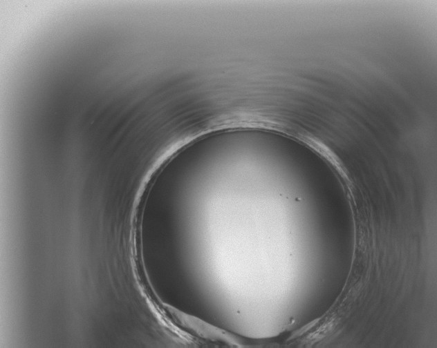 X0000059811144200510281658