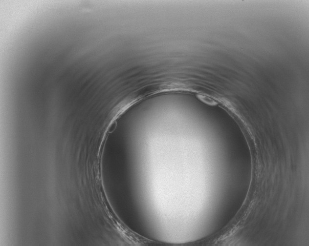 X0000059811145200510281658