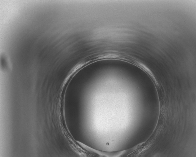 X0000059811146200510281658