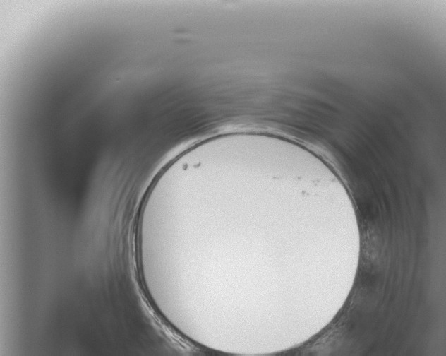 X0000059811150200510281658