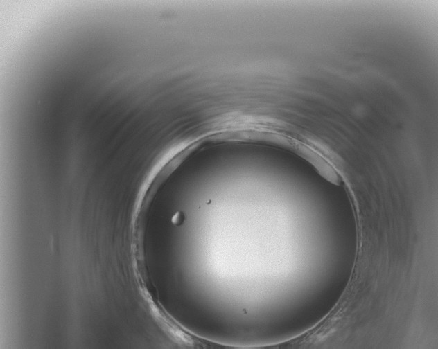 X0000059811152200510281659