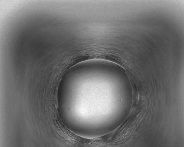 X0000059811153200510281658