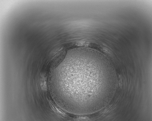 X0000059811154200510281658