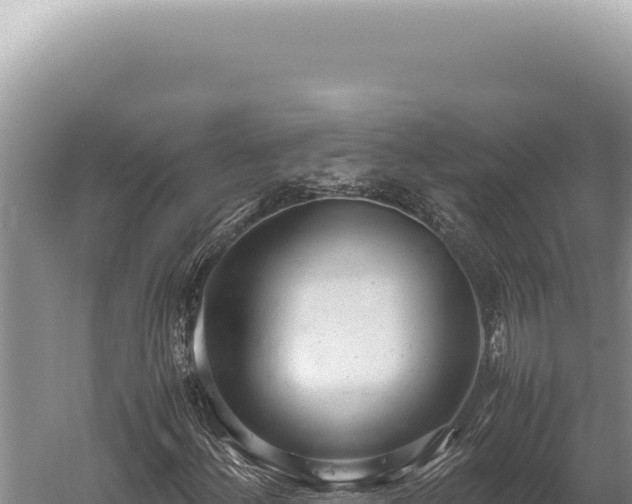 X0000059811156200510281658